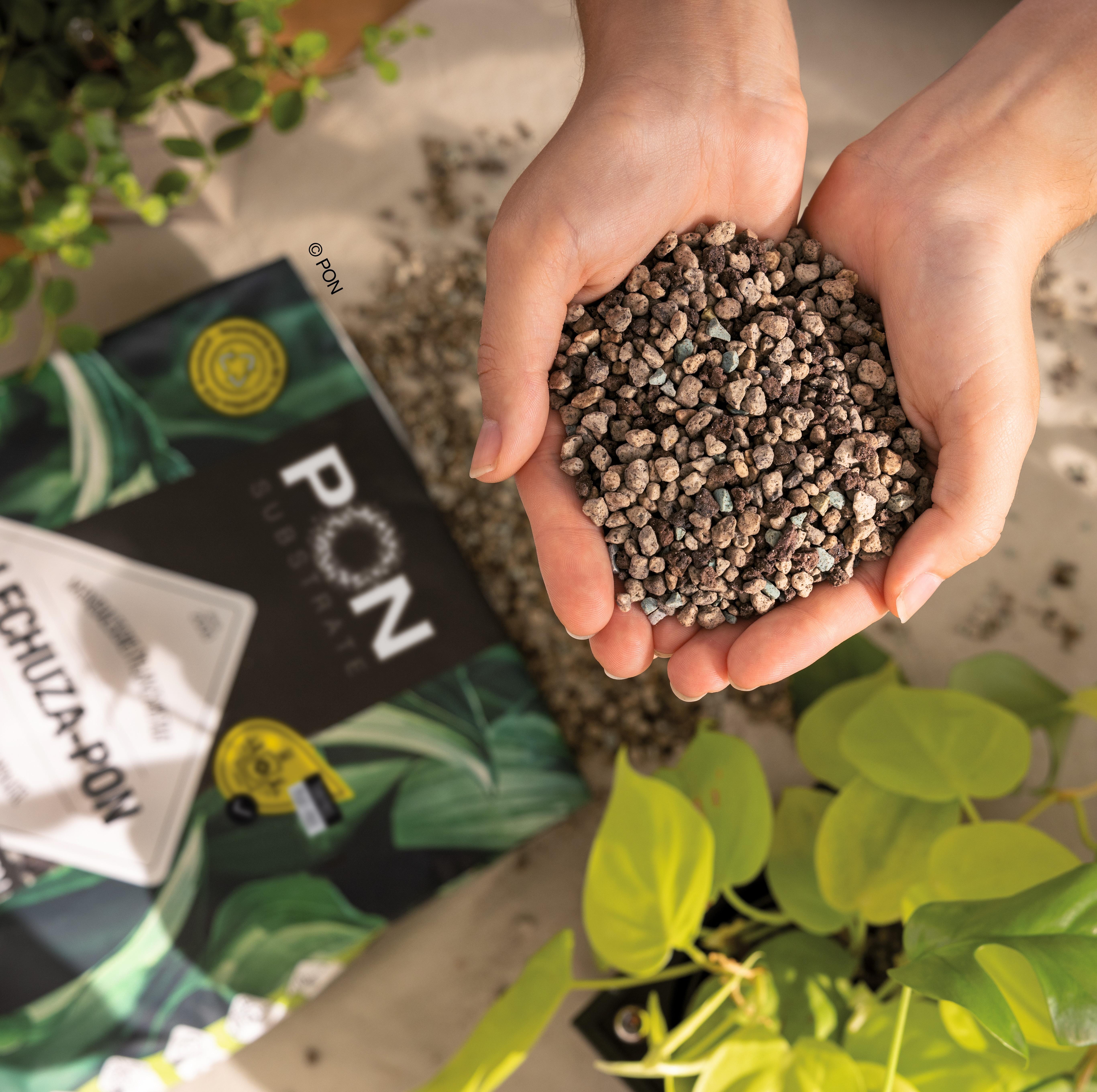 le_lechuza-pon_product_addi_01